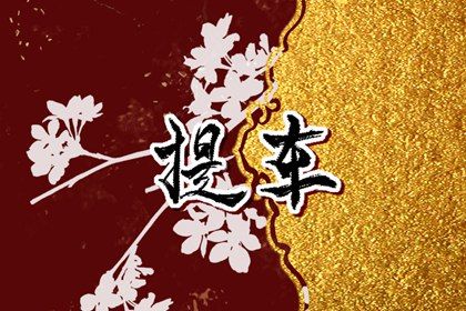 2025年12月23日提车日子如何 是买新车好日子吗