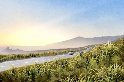 2024年11月06日是提车好日子吗 是提车好日子吗