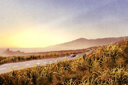 2025年08月26日是提车好日子吗 是买新车好日子吗