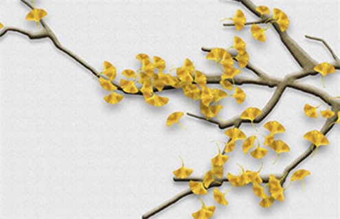 2024年农历十月十一装修黄道吉日 今日装修新房好不好