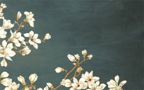 2025年02月16日装修好不好 今日装修新房好不好